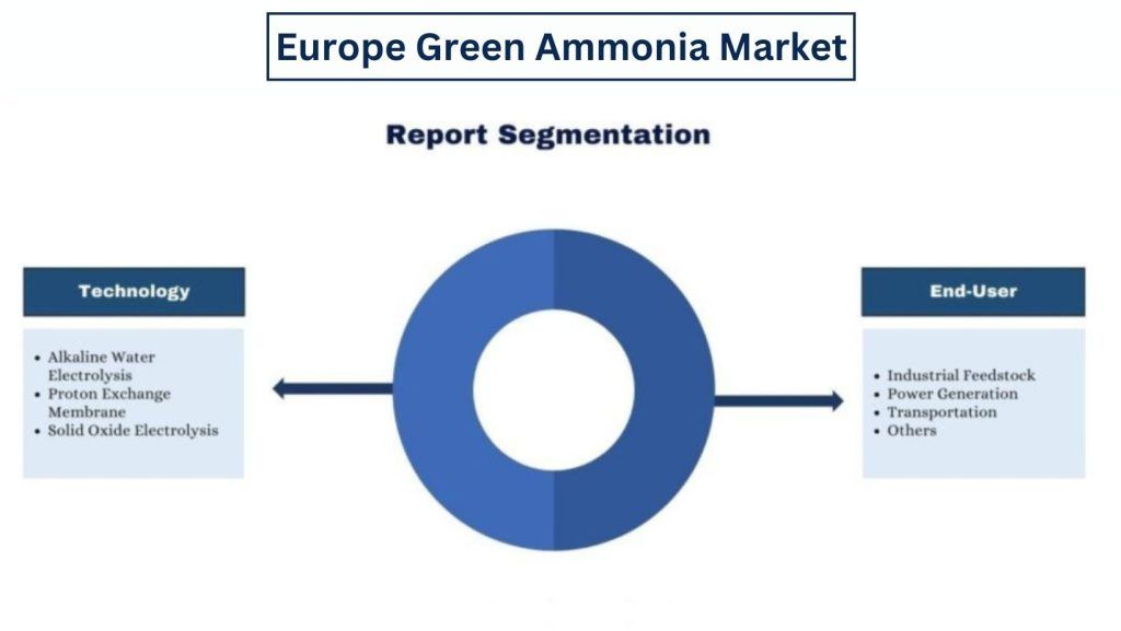 Europe Green Ammonia Market Segmentation