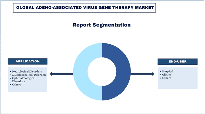 Adeno-associated Virus Gene Therapy Market Segmentation