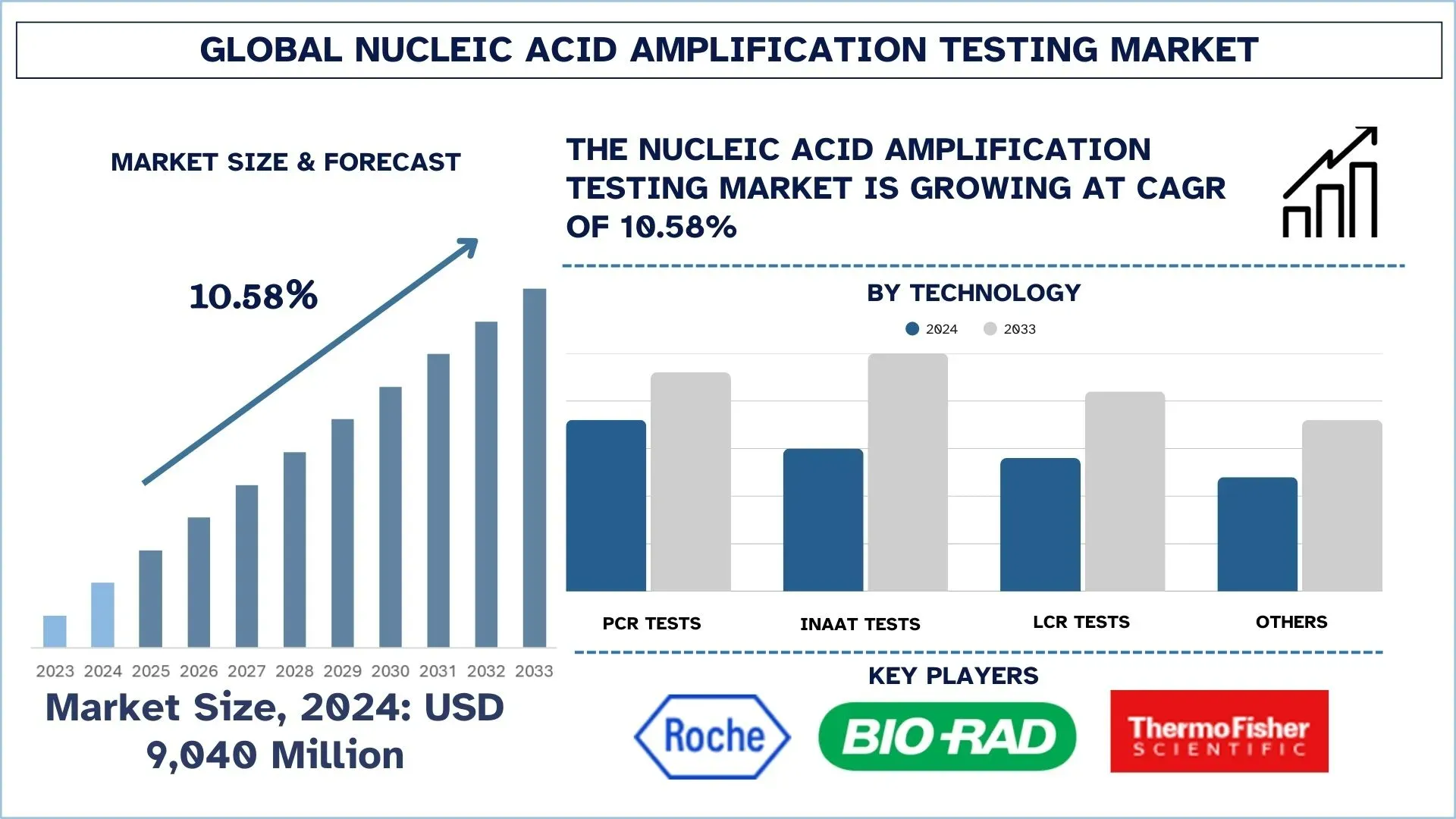 Global Nucleic Acid Amplification Testing Market Size & Forecast