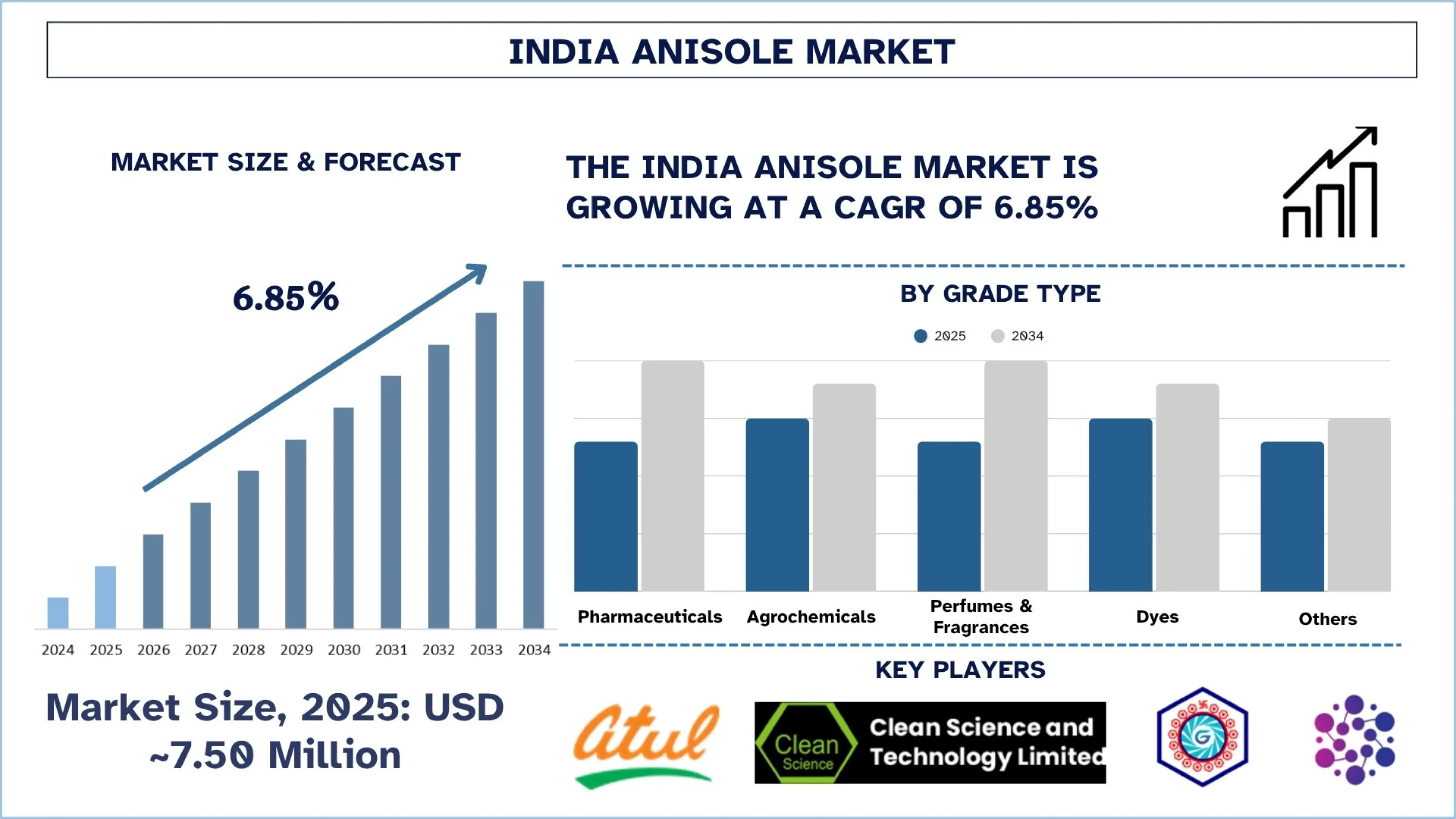 India Anisole Market Size & Forecast