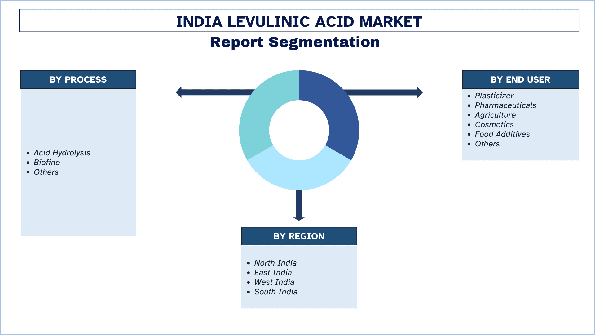 India Levulinic Acid Market Segment.png