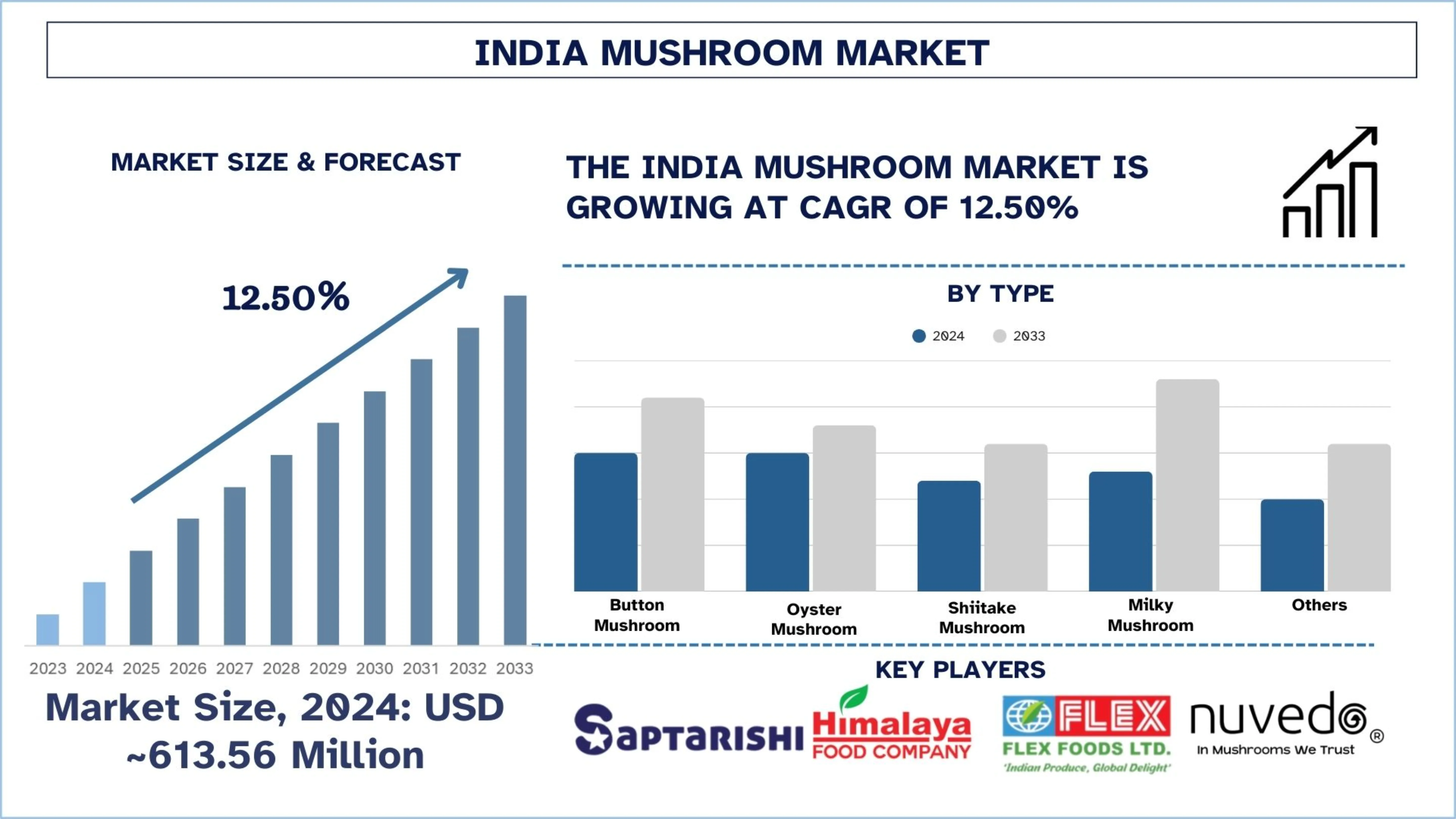 India Mushroom Market Size & Forecast