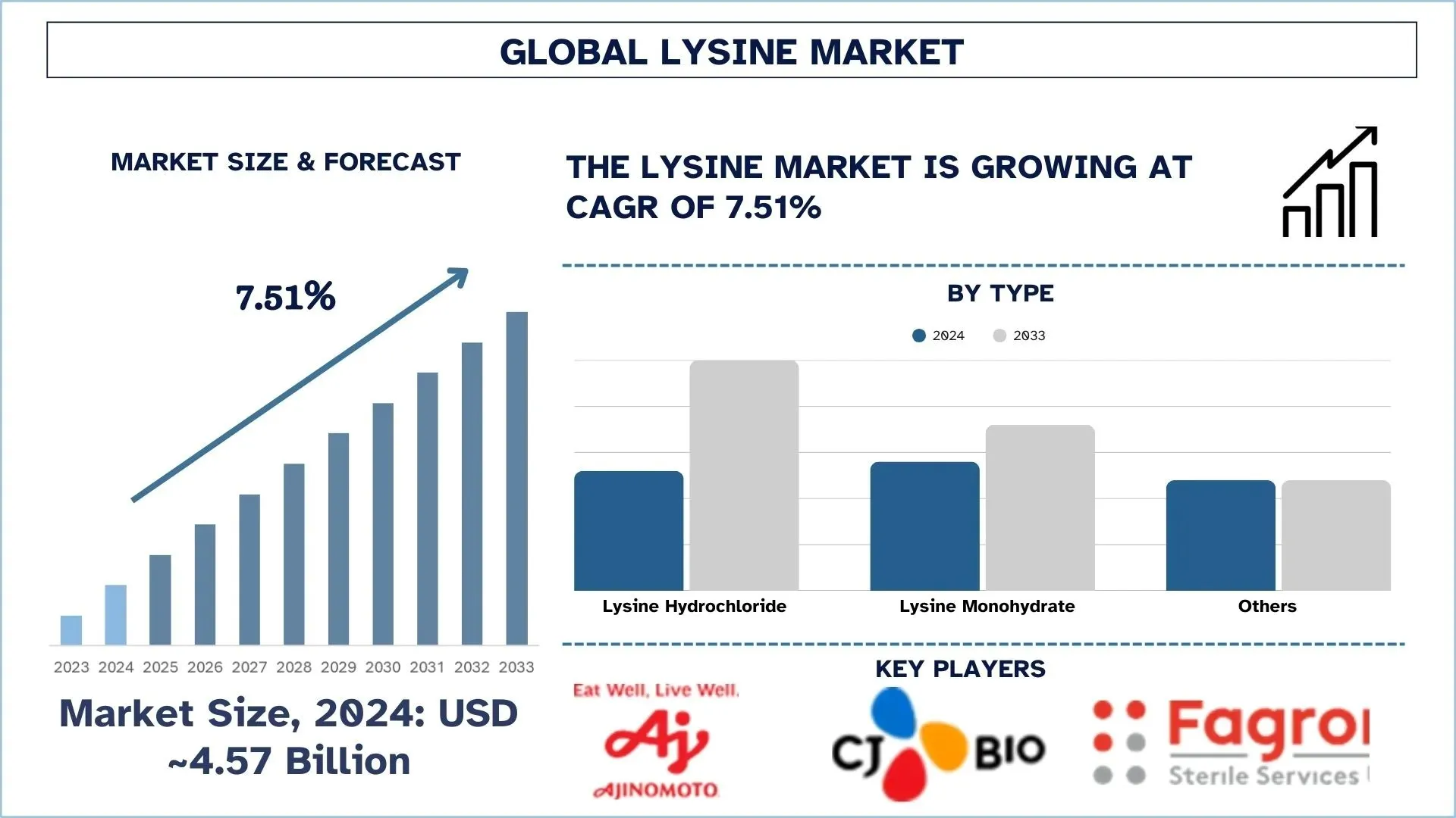 Lysine Market Size & Forecast