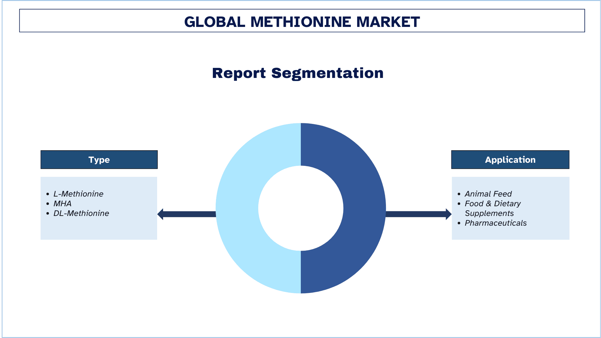 Methionine Market Segmentation.png