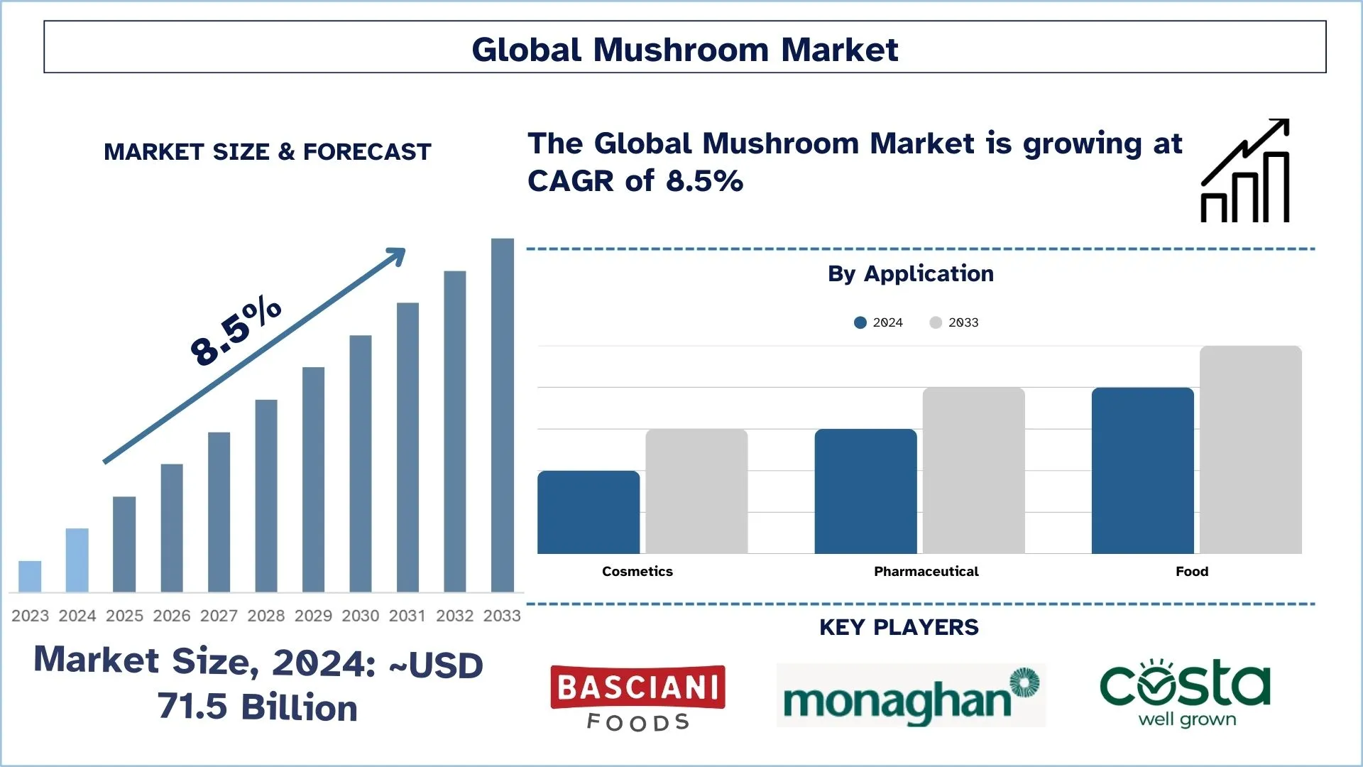 Mushroom Market Size & Forecast