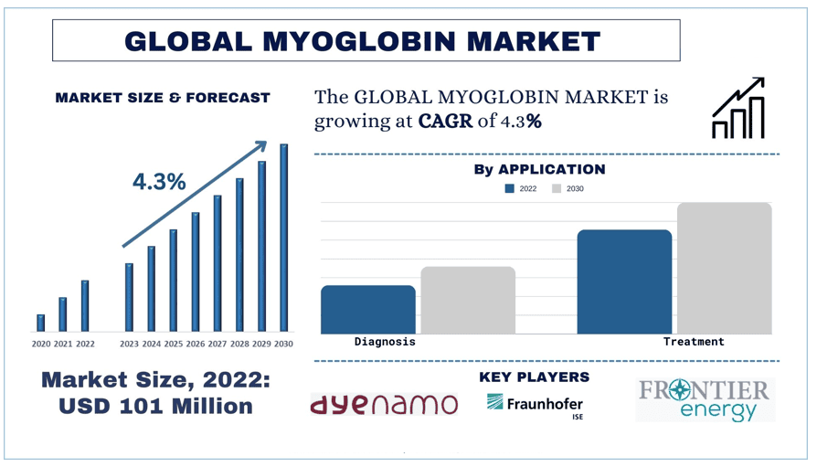 Myoglobin Market size & forecast