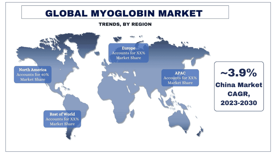 Myoglobin Market trends