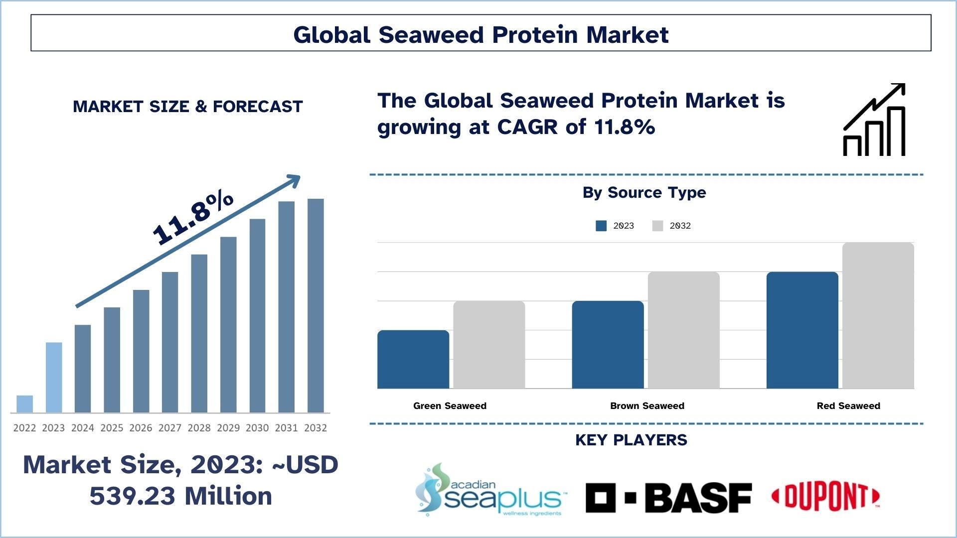 Seaweed Protein Market Size & Forecast