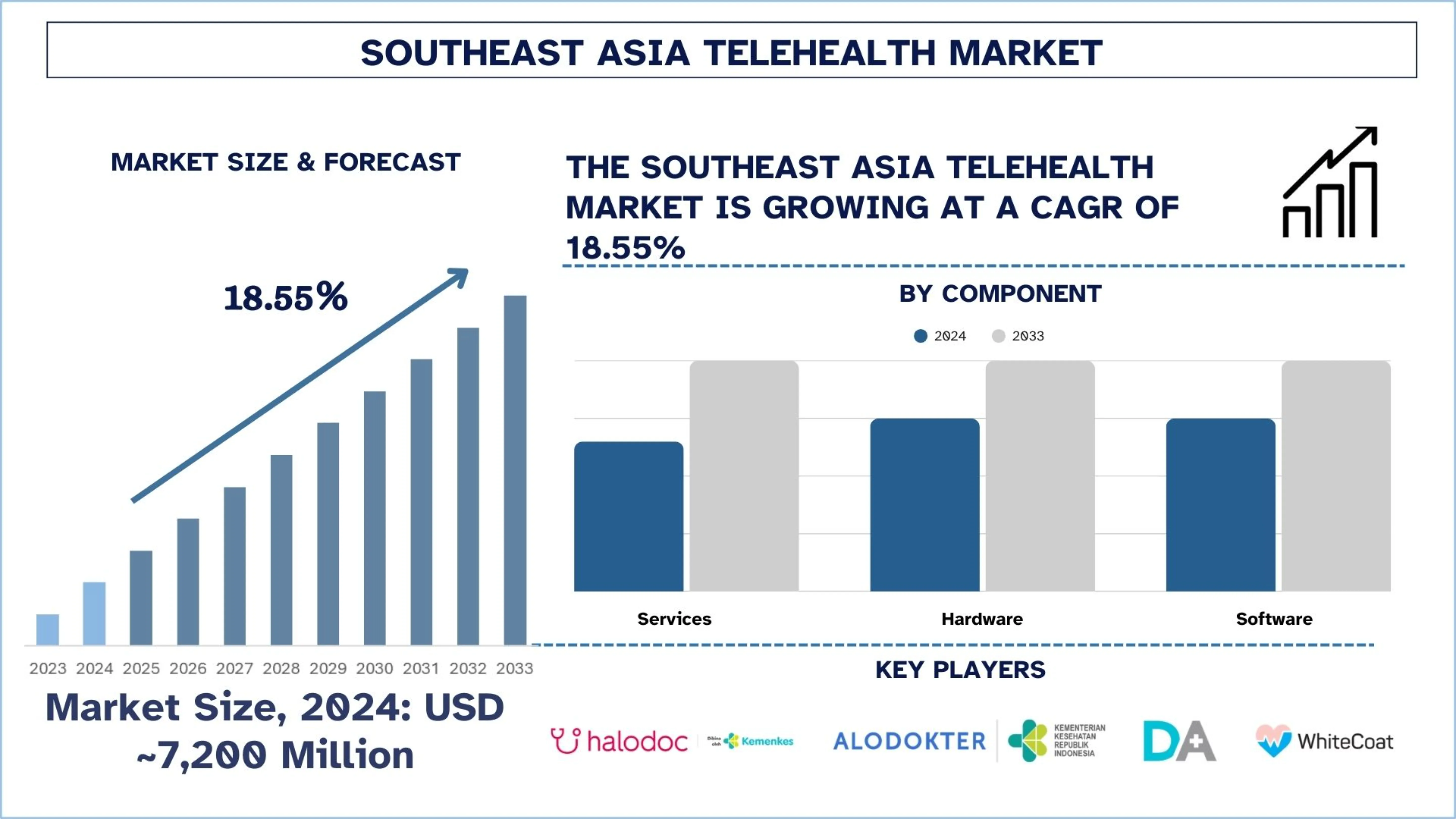 Southeast Asia Telehealth Market Size & Forecast