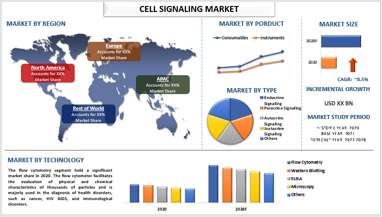 Cell Signaling Market