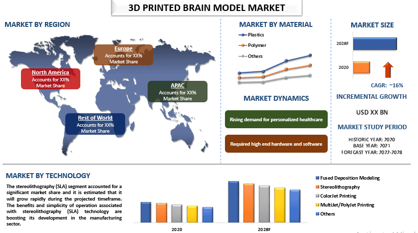 3D Printed Brain Model Market