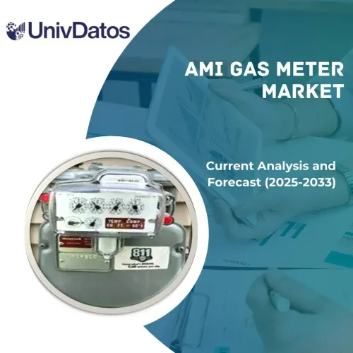 AMI Gas Meter Market: Current Analysis and Forecast (2025-2033)