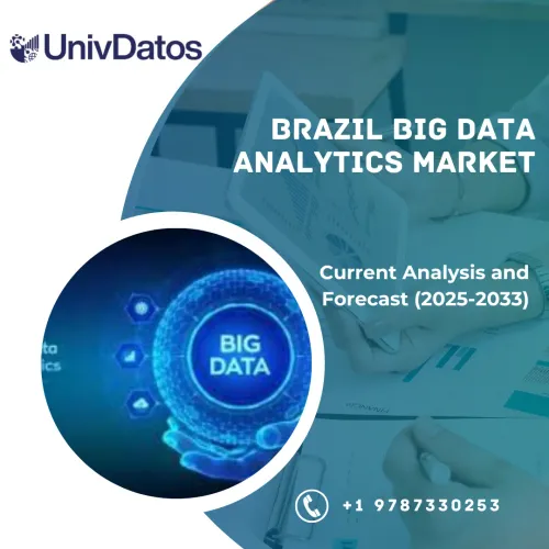 Brazil Big Data Analytics Market: Current Analysis and Forecast (2025-2033)