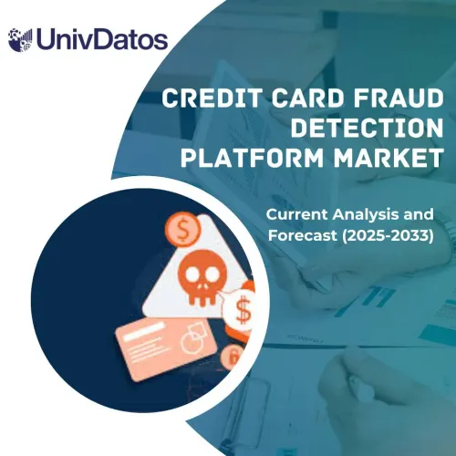 Credit Card Fraud Detection Platform Market: Current Analysis and Forecast (2025-2033)
