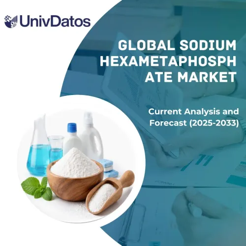 Sodium Hexametaphosphate Market: Current Analysis and Forecast (2025-2033)