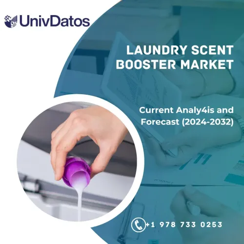 Laundry Scent Booster Market: Current Analysis and Forecast (2024-2032)