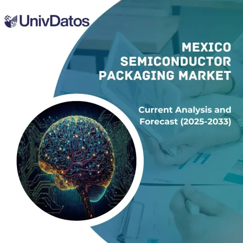 Mexico Semiconductor Packaging Market: Current Analysis and Forecast (2025-2033)
