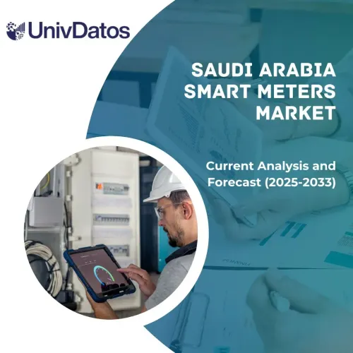 Saudi Arabia Smart Meters Market: Current Analysis and Forecast (2025-2033)