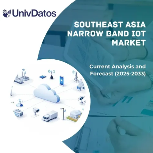 Southeast Asia Narrow Band IoT Market: Current Analysis and Forecast (2025-2033)