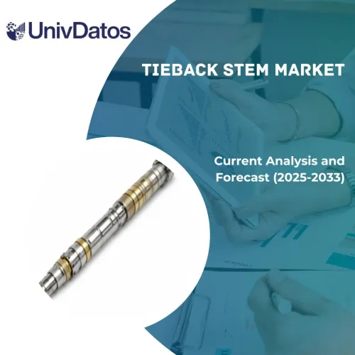Tieback Stem Market: Current Analysis and Forecast (2025-2033)