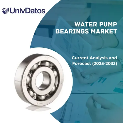 Water Pump Bearings Market: Current Analysis and Forecast (2025-2033)