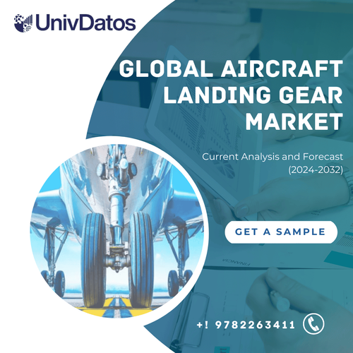 Global Aircraft Landing Gear Market: Current Analysis and Forecast (2024-2032)