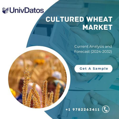 Cultured Wheat Market: Current Analysis and Forecast (2024-2032)