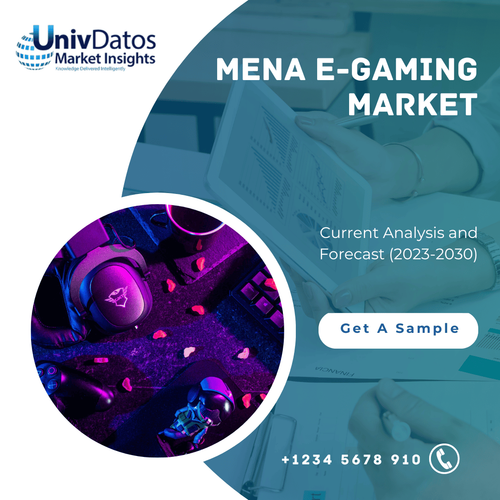 MENA E-Gaming Market: Current Analysis and Forecast (2023-2030)