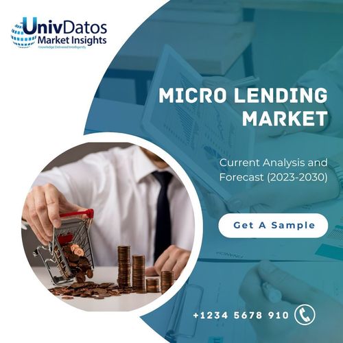 Micro Lending Market: Current Analysis and Forecast (2022-2028)